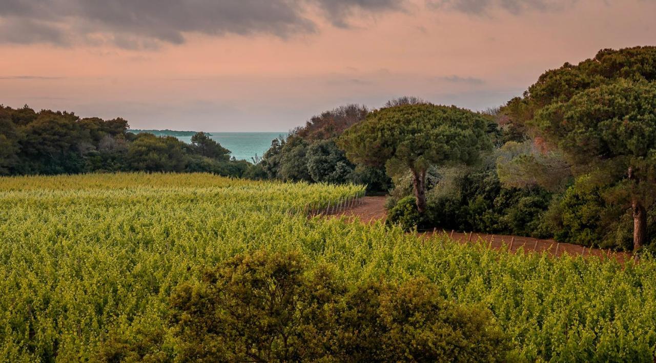 Masseria Mongio Dell'Elefante Отранто Екстериор снимка