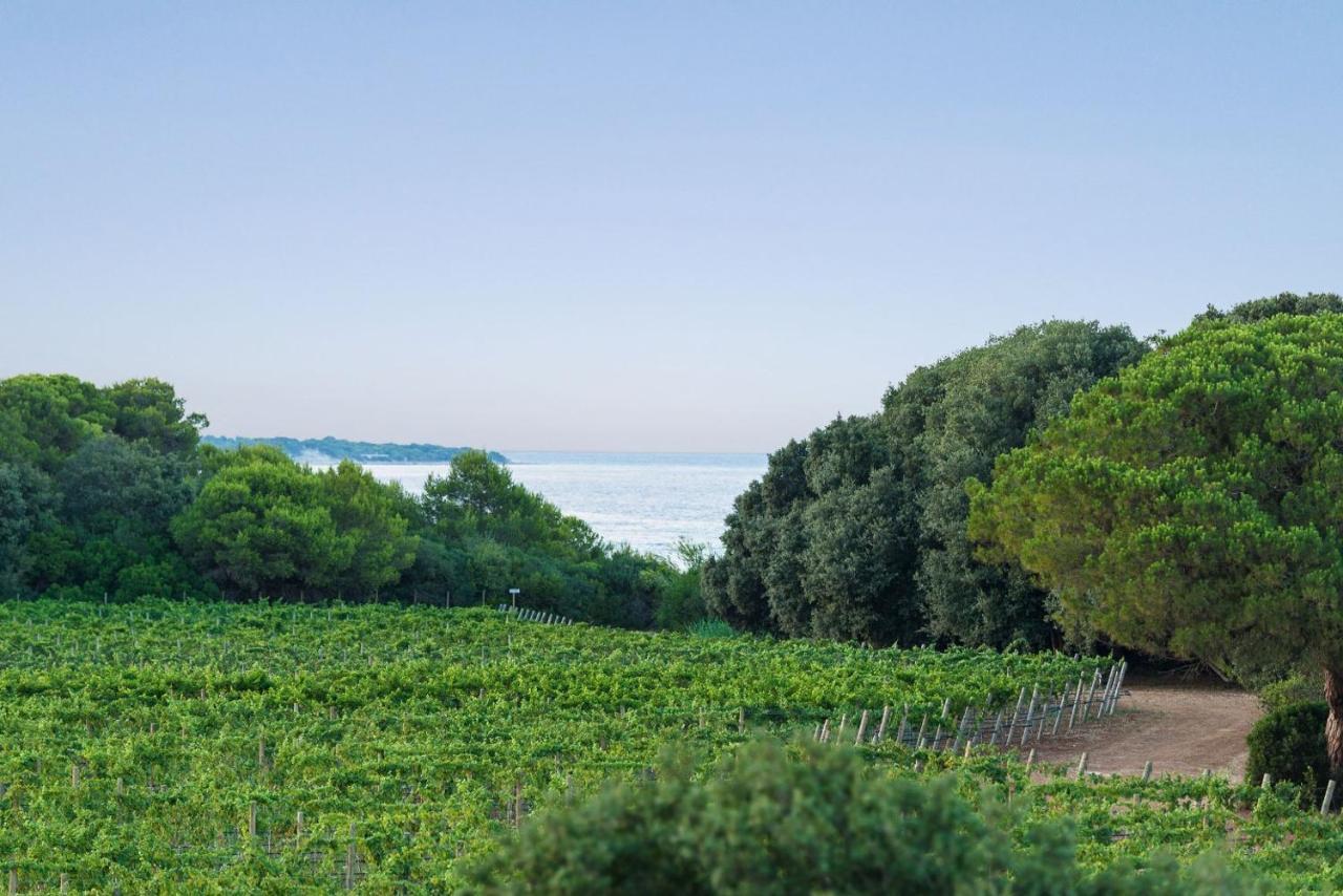 Masseria Mongio Dell'Elefante Отранто Екстериор снимка